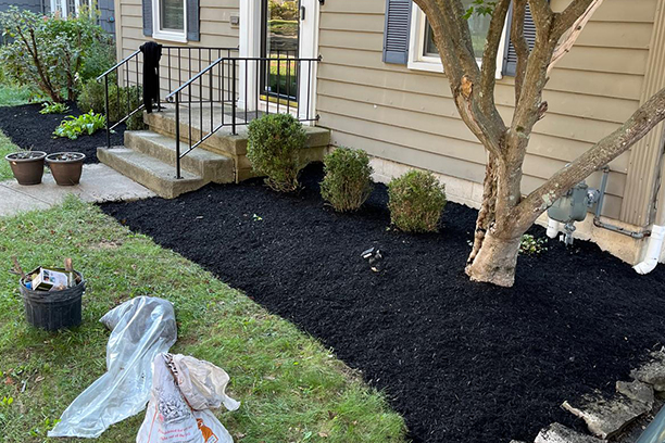Mulching project in Columbus, OH