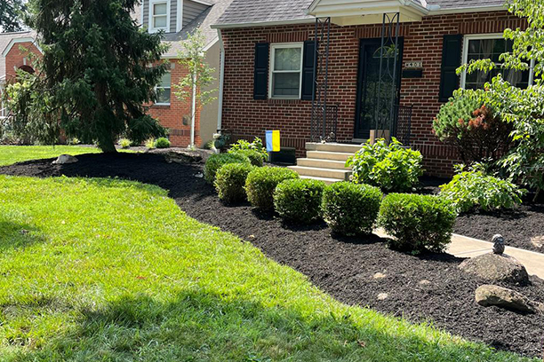 Bush trimming project in Columbus, OH